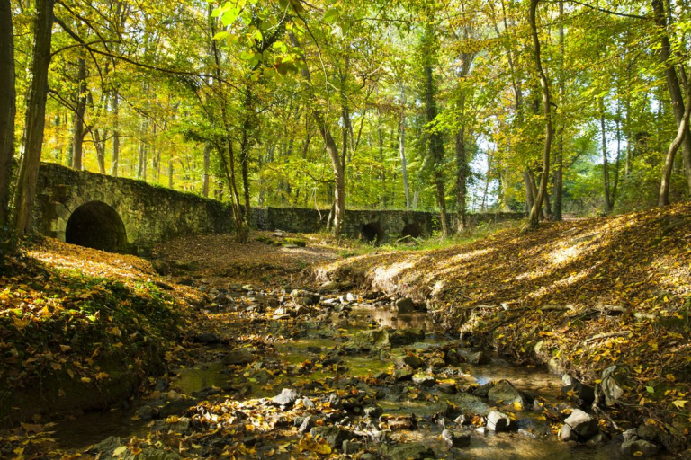 Bois des templiers, Longjumeau