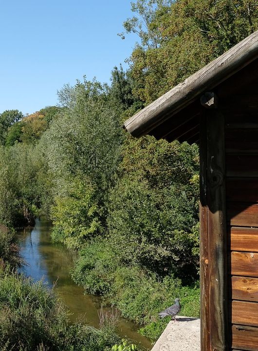 L'Yvette et cabane en bois