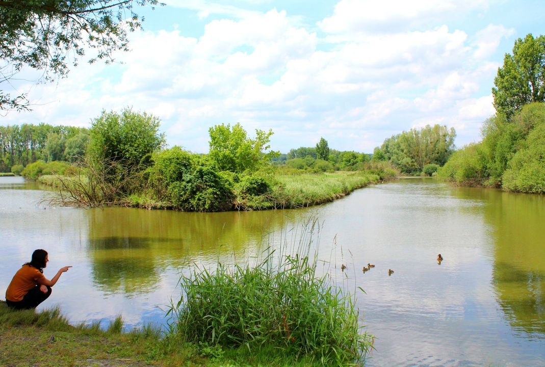 Saulx les Chartreux pond