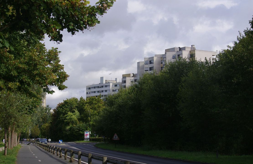 Tress and building