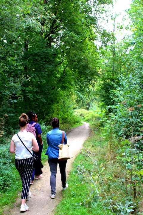 storytelling walk in the forest of Palaiseau