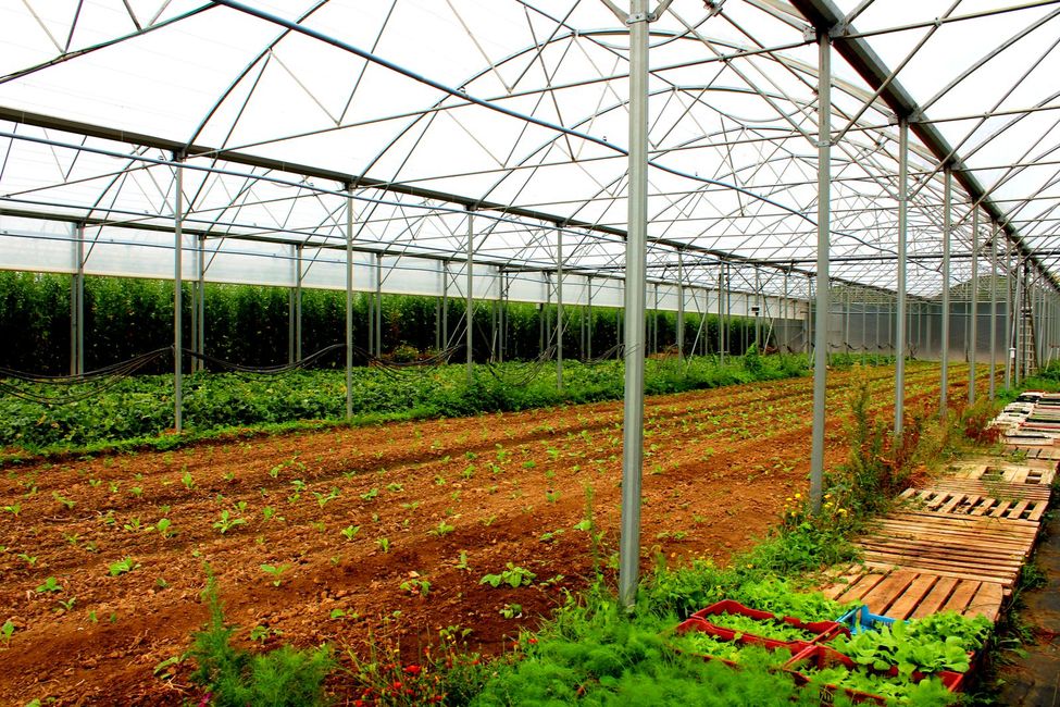 Greenhouse in Jardin de Cocagne