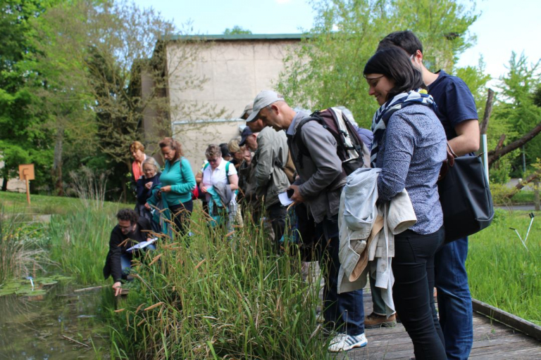 Visite du jardin botanique, Orsay