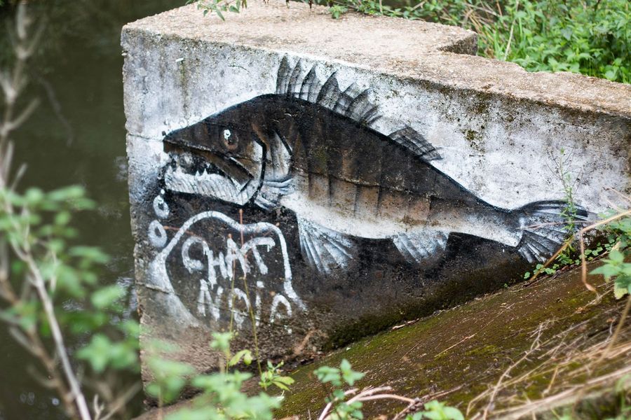 Street art d'un poisson