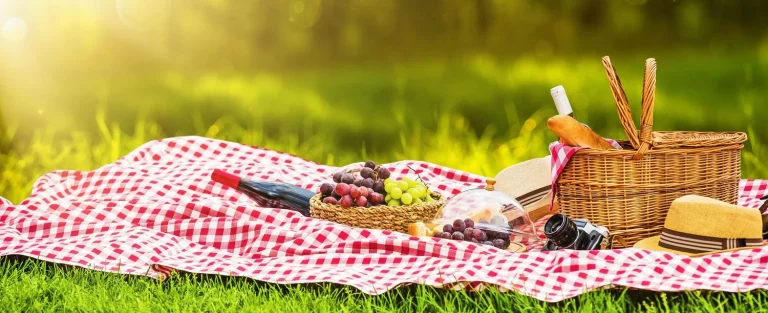 Picnic Paris-Saclay