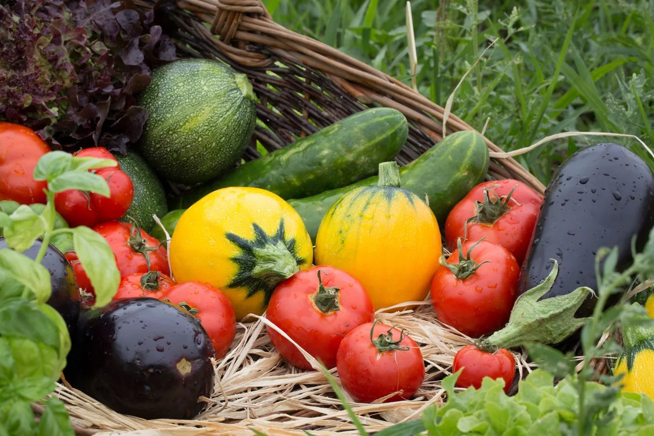 Ferme des Potagers, Marcoussis