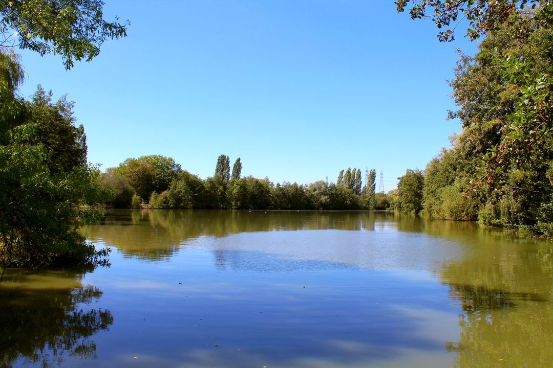 Bassin du Gué, Marcoussis