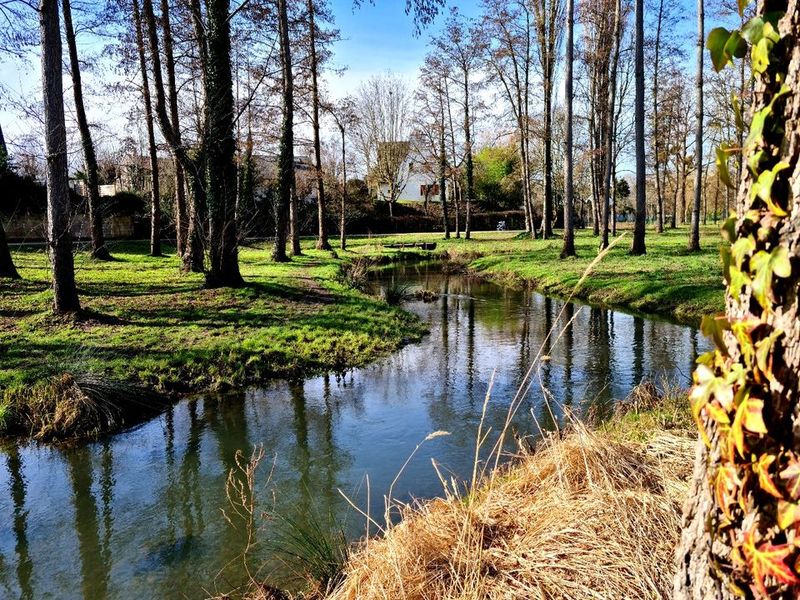 The Bièvre river, Igny