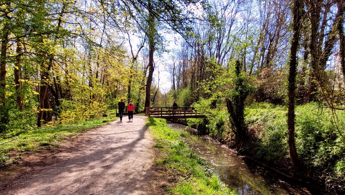 The Bievre river in Massy