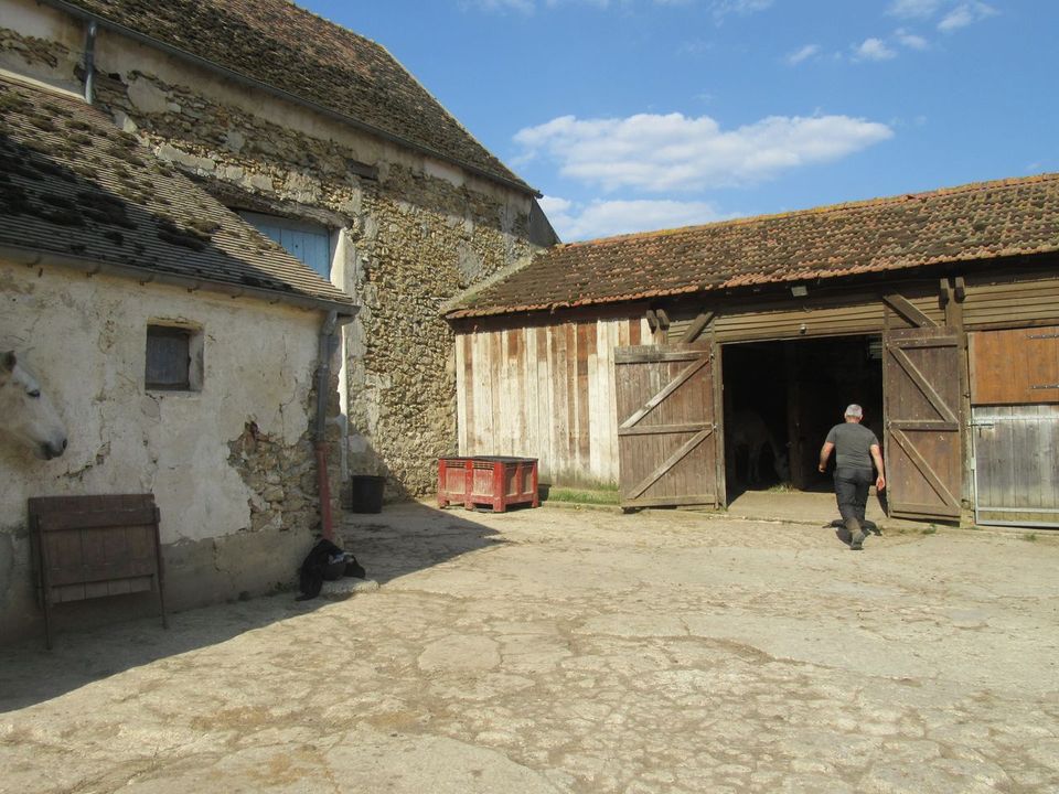 Ecurie du Moulin Neuf, stables