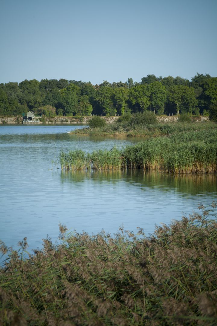 Pond and channels of the plateau de Saclay