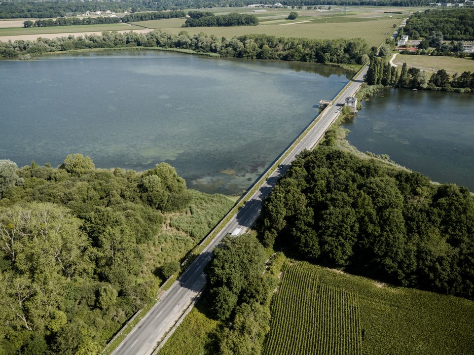 Etangs de Saclay