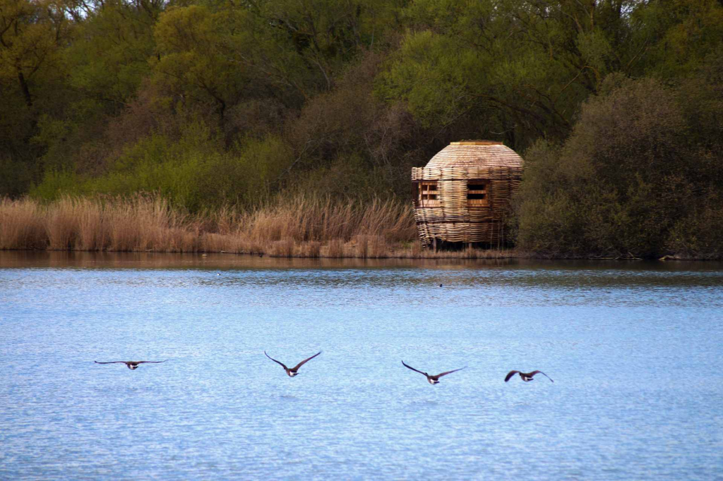 Etangs et rigoles du plateau de Saclay, observatoire ornithologique