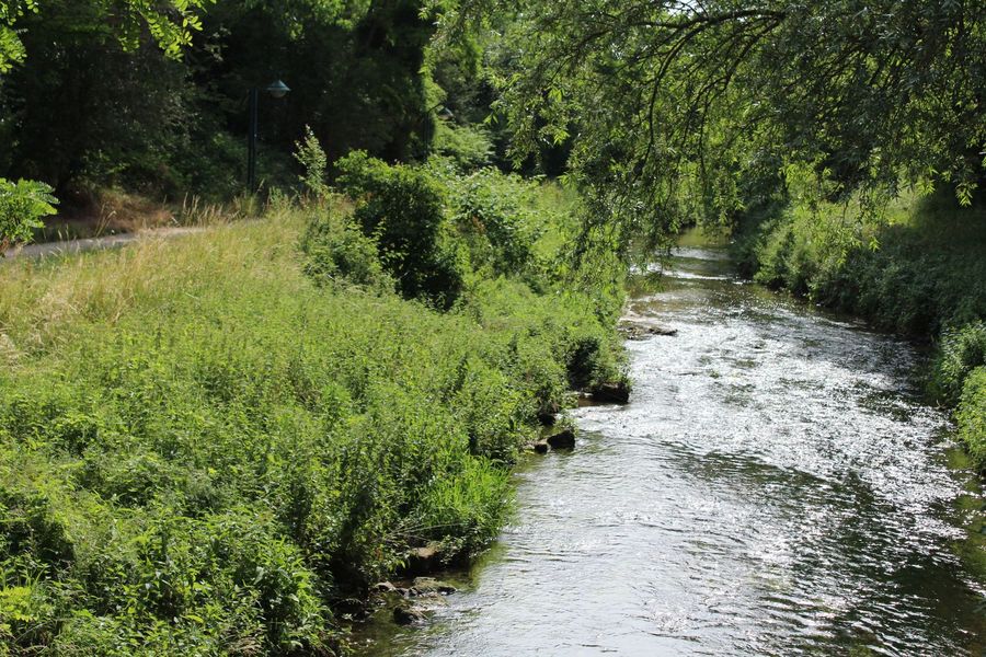 Walk along the Yvette river