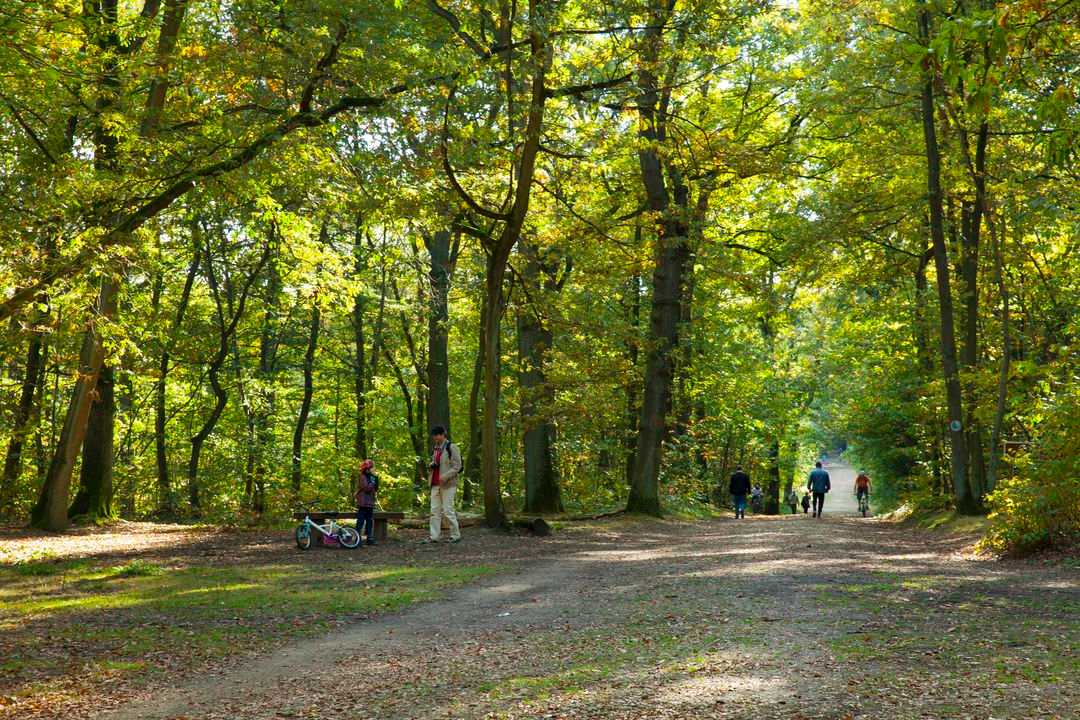 Forêt de verrières le buisson, randonneur, Chemin de Saint-Jacques-de-Compostelle