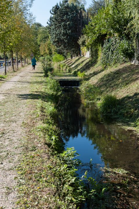 Walk along the Bievre river