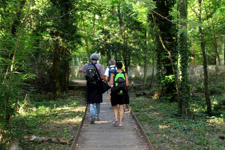 Les mustélidés  etangs-de-saclay