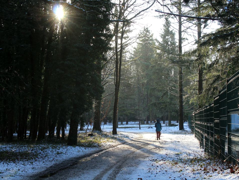 Parc de Vilgenis under the snow