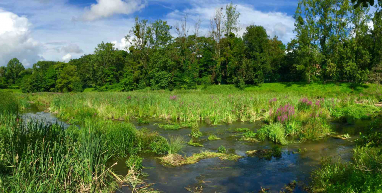 River Bièvre, Parc de Vilgénis - Siavb