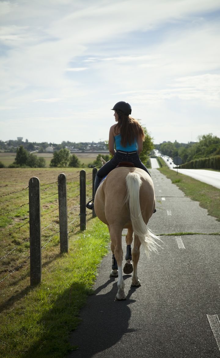 Balade à cheval