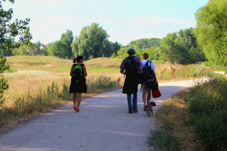 Hiking tour of Villebon-sur-Yvette, bassin de saulx