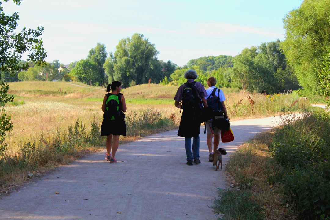 Randonnée tour de Villebon-sur-Yvette, bassin de saulx