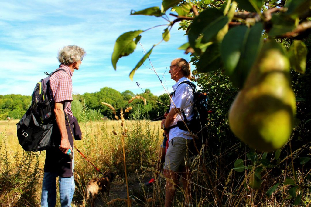 Randonnée le grand tour de Villebon