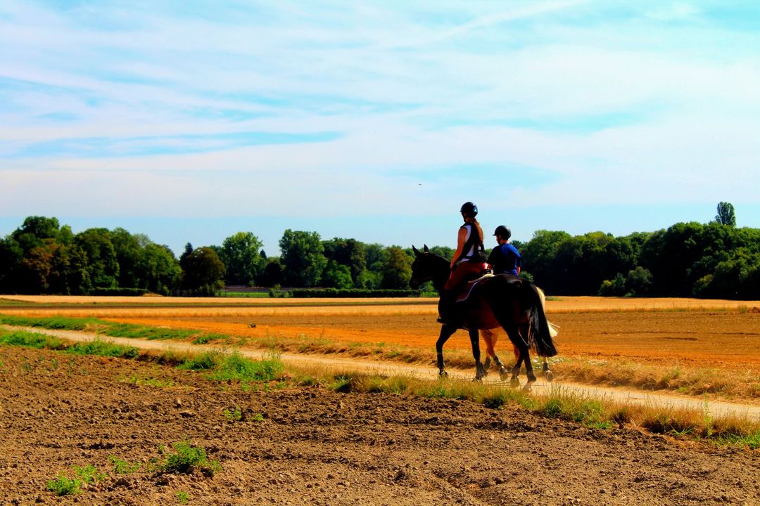 Horse ride