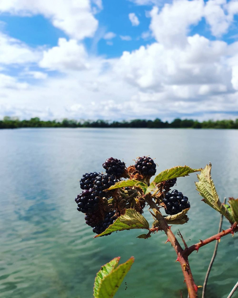 Etang de Saclay - Instamathic