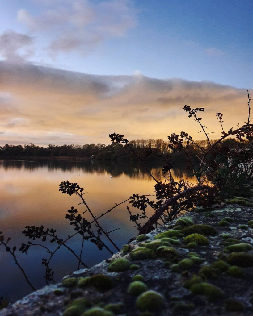 Etang de Saclay - Instamathic