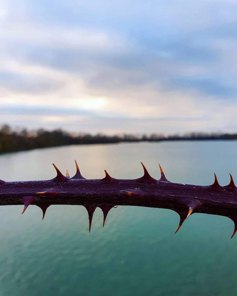 Etang de Saclay - Instamathic