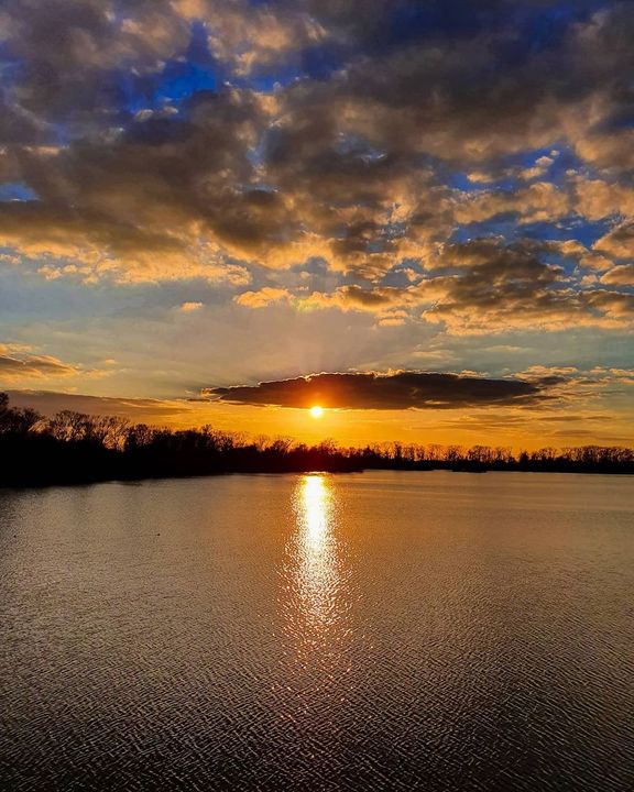 Etang de Saclay - Instamathic