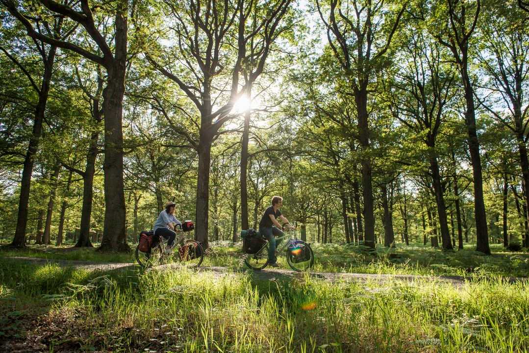 Vallée de Chevreuse by bike, véloscénie