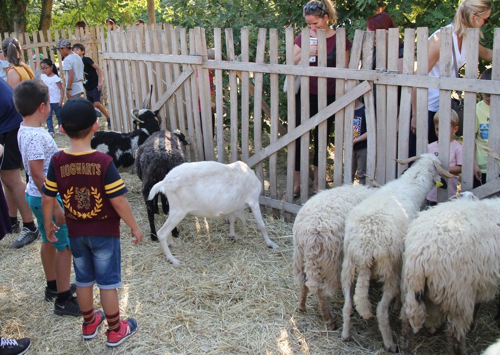 Fête médiévale de Montlhéry, petite ferme