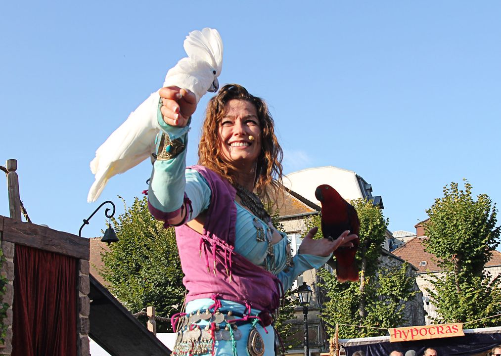 Medieval Fair of Montlhéry, birds show