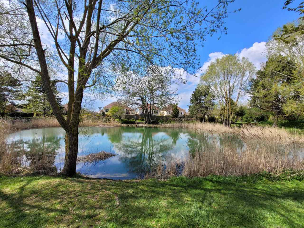 Pond of Tonkin, Saclay