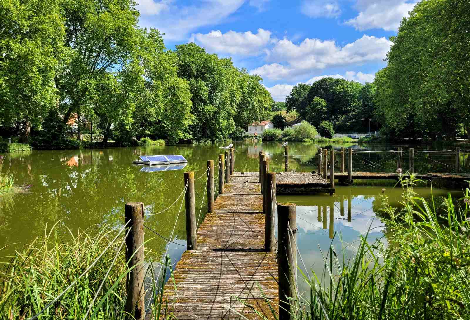 Lac du Mail Orsay