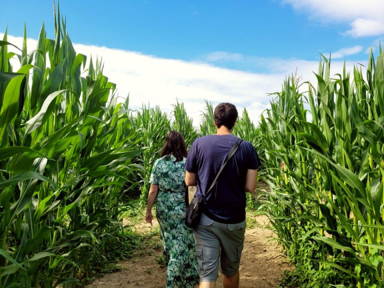 Walking through the labyrinth