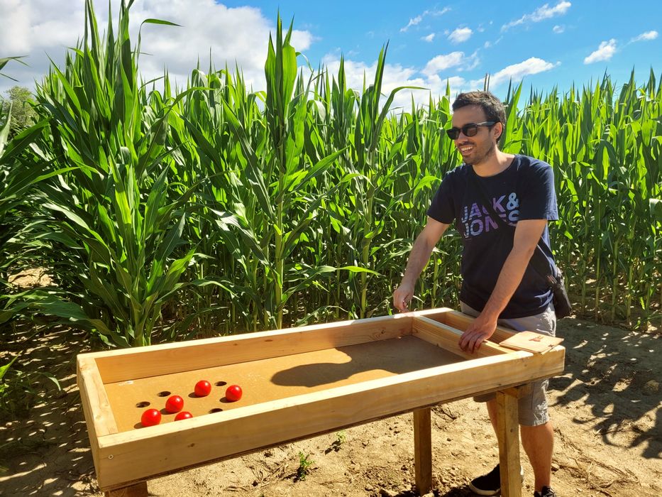 A wooden game of the Pop Corn Labyrinthe