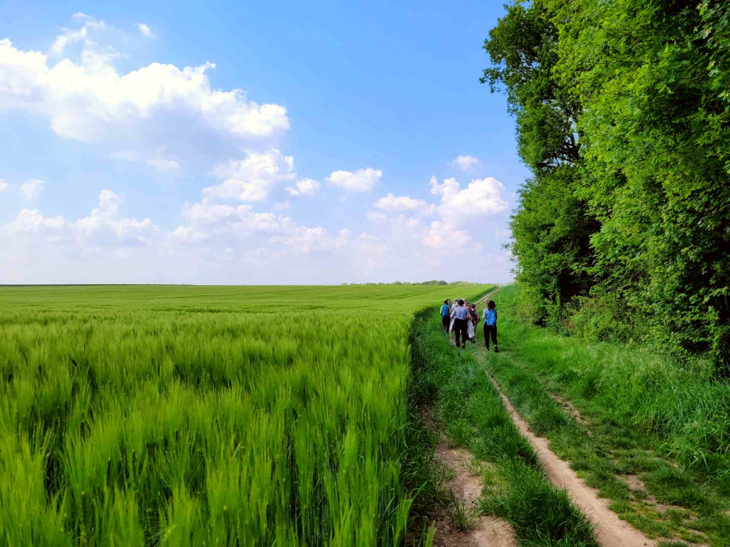 Randonnée entre plateau et vallée vallée à Gif-sur-Yvette