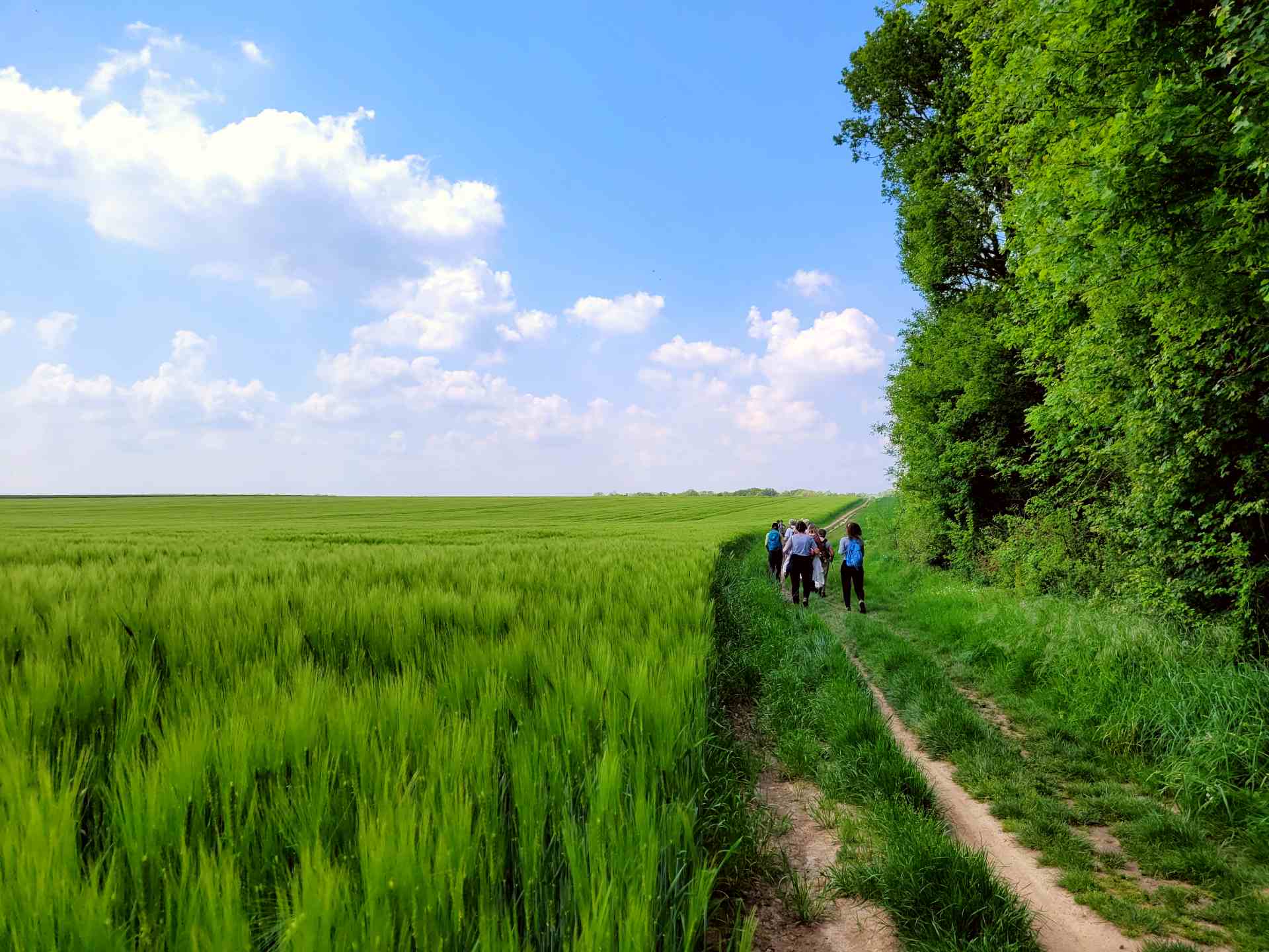 Randonnée entre plateau et vallée vallée à Gif-sur-Yvette