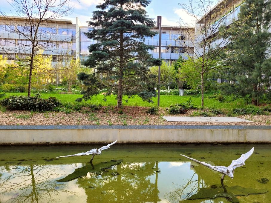 Jardin Ecole Normale Supérieure Paris-Saclay, Gif-sur-Yvette