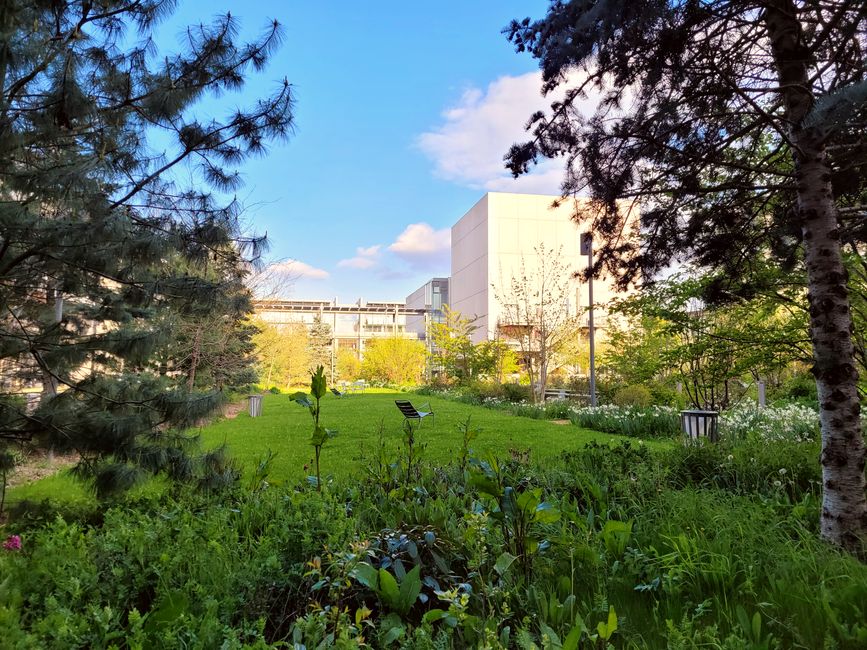 Jardin Ecole Normale Supérieure Paris-Saclay, Gif-sur-Yvette