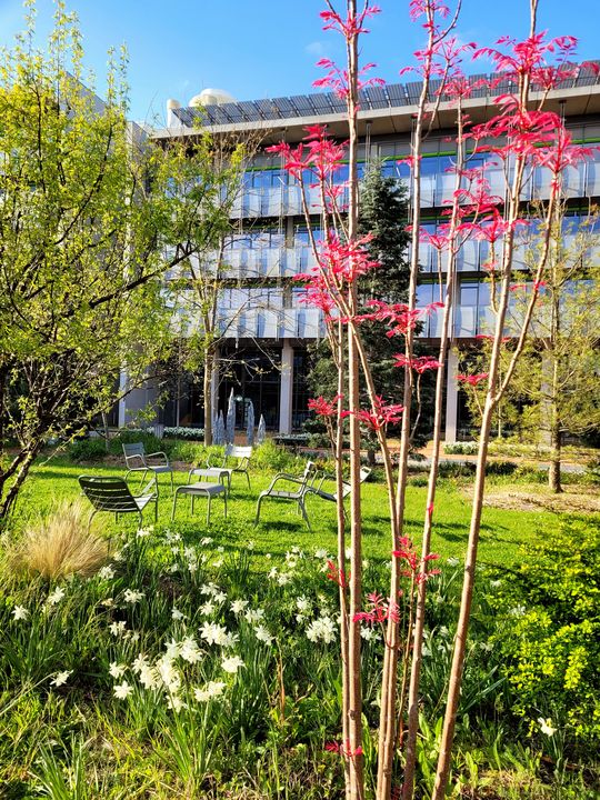 Garden Ecole Normale Supérieure Paris-Saclay, Gif-sur-Yvette