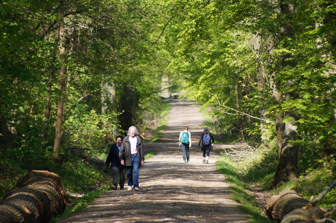 Forêt de Verrières, Verrières-le-Buisson