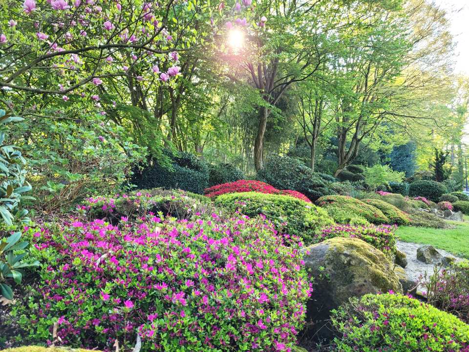 Jardin botanique de Launay