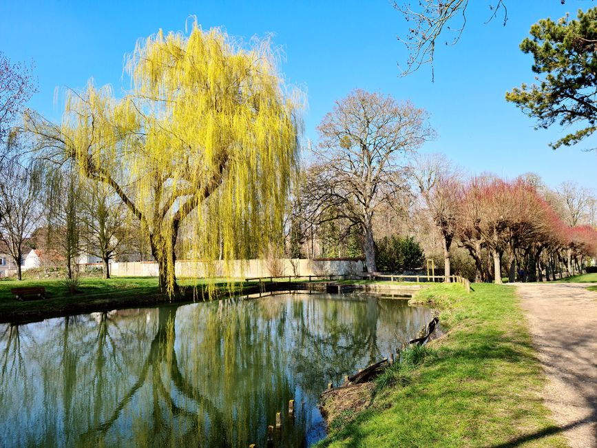 Parc Arthur Clark, Wissous