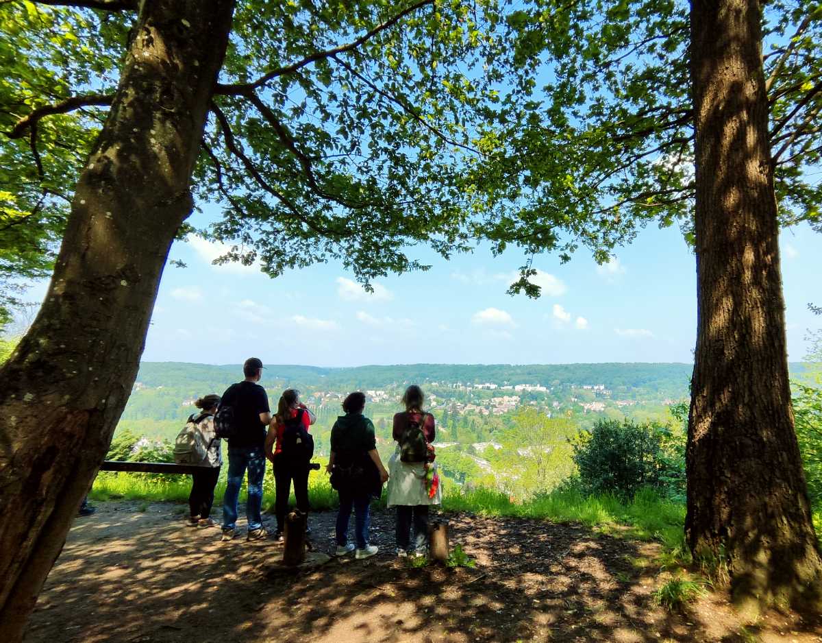 Point de vue, forêt communale de Gif-sur-Yvette